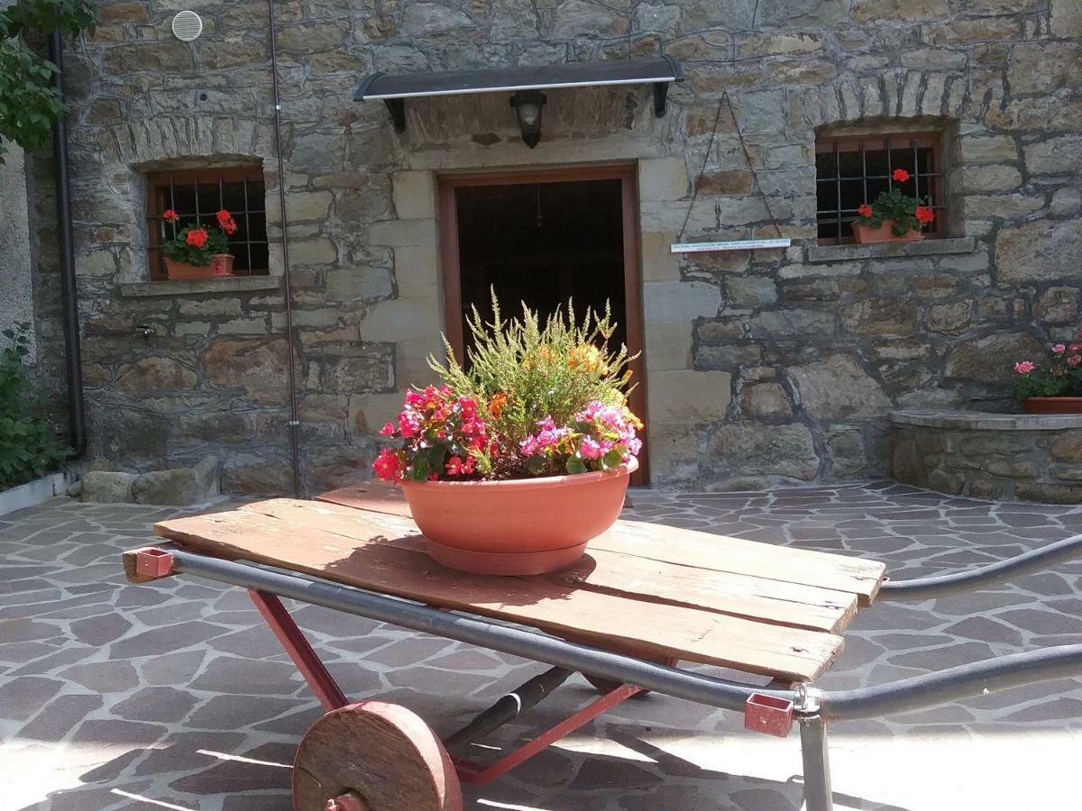 Il Casolare Bioenergetico Bed and Breakfast Albareto  Εξωτερικό φωτογραφία